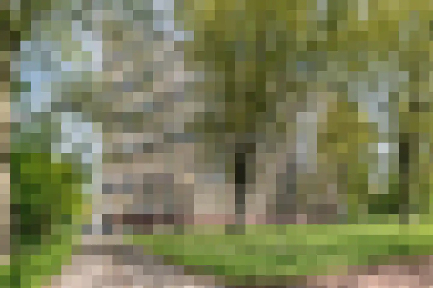 Langswater 112 Amsterdam thumbnail 6