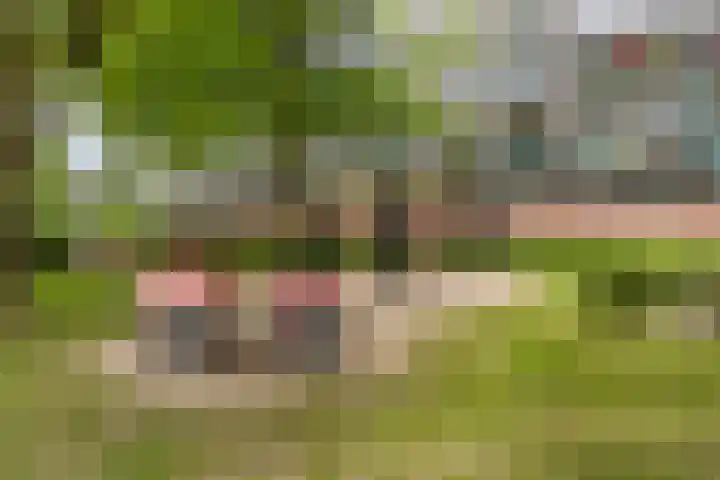 Langswater 137 Amsterdam thumbnail 16