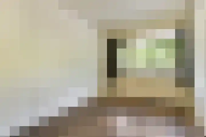 Langswater 141 Amsterdam thumbnail 9