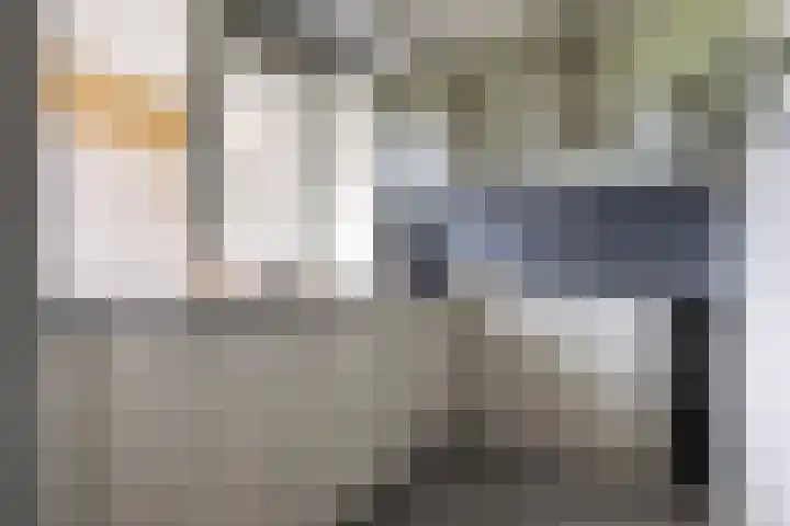 Langswater 191 Amsterdam foto 3