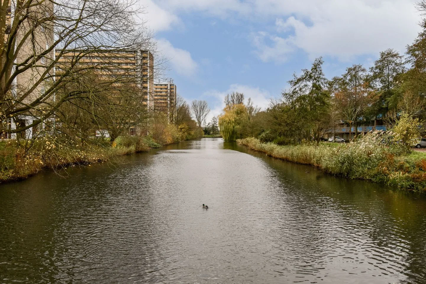 Langswater 199 Amsterdam thumbnail 23