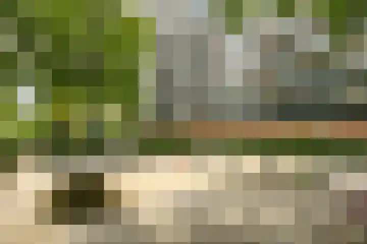 Langswater 248 Amsterdam thumbnail 25