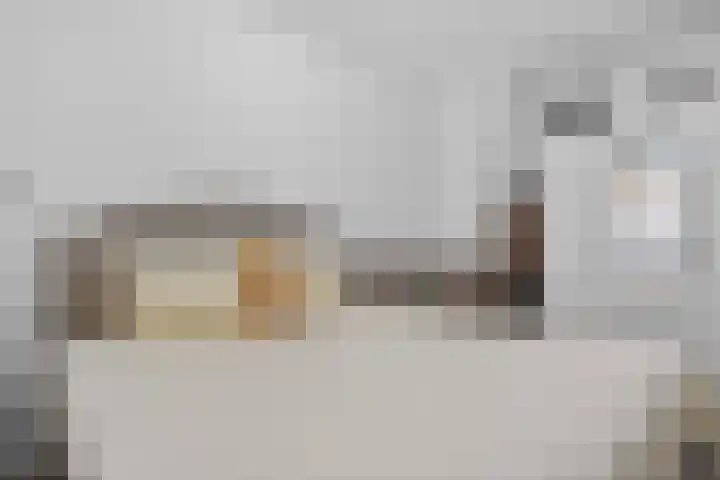 Langswater 277 Amsterdam thumbnail 9