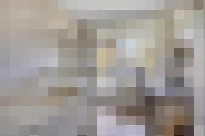 Langswater 415 Amsterdam thumbnail 9