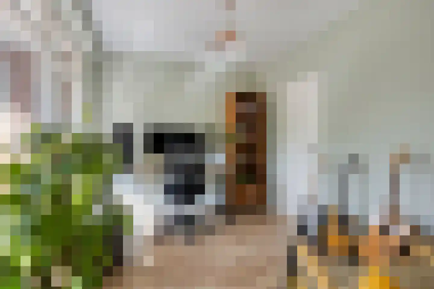 Langswater 426 Amsterdam thumbnail 11