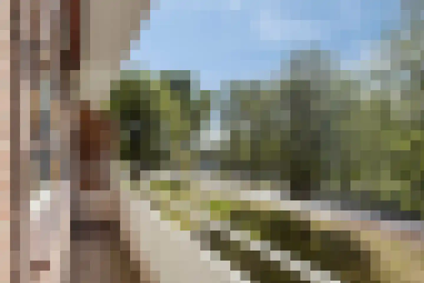Langswater 426 Amsterdam thumbnail 13