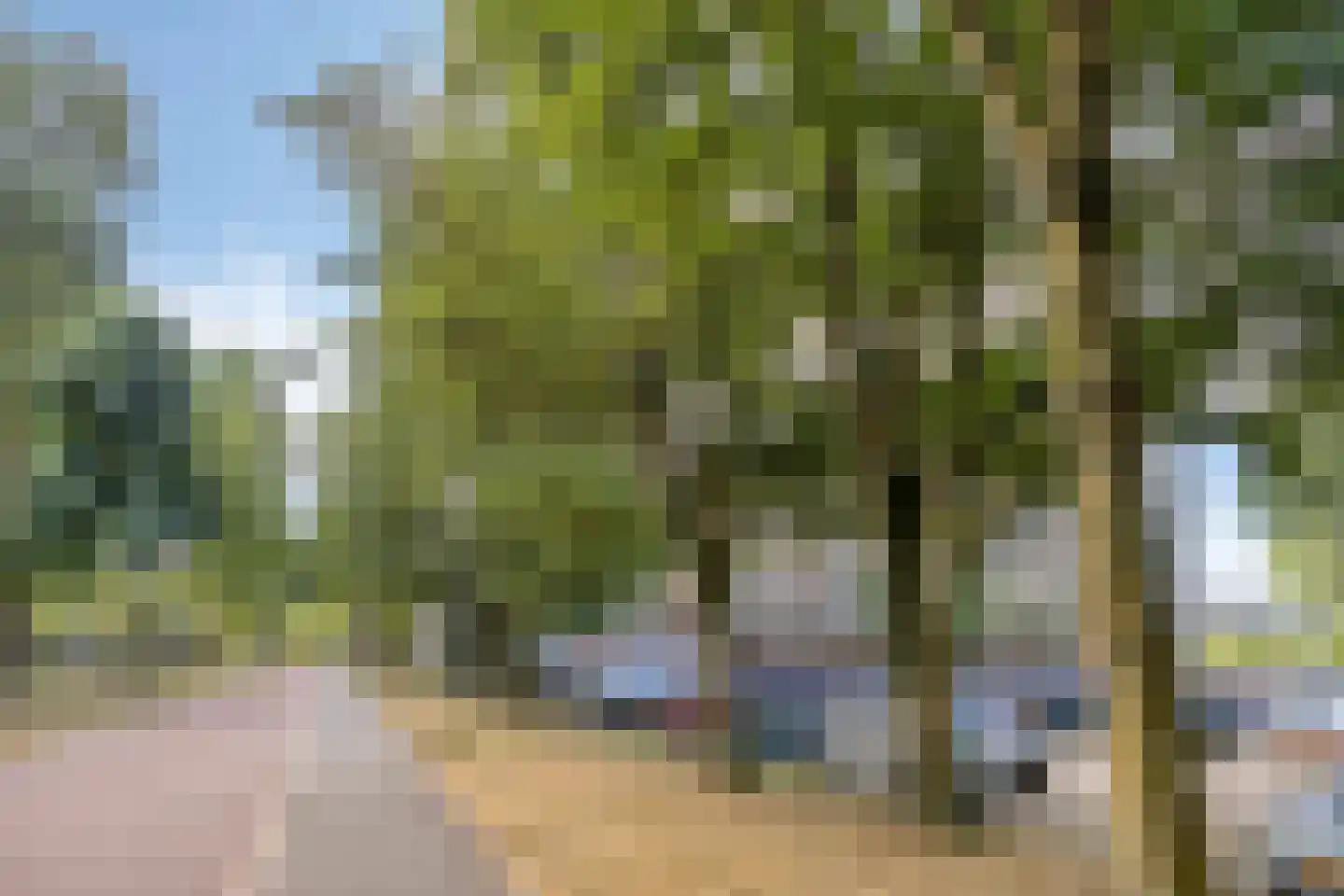 Langswater 433 Amsterdam thumbnail 25