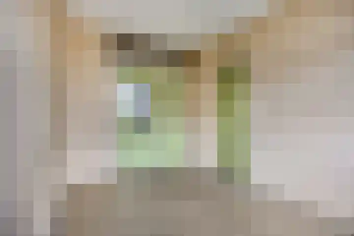 Langswater 455 Amsterdam thumbnail 9