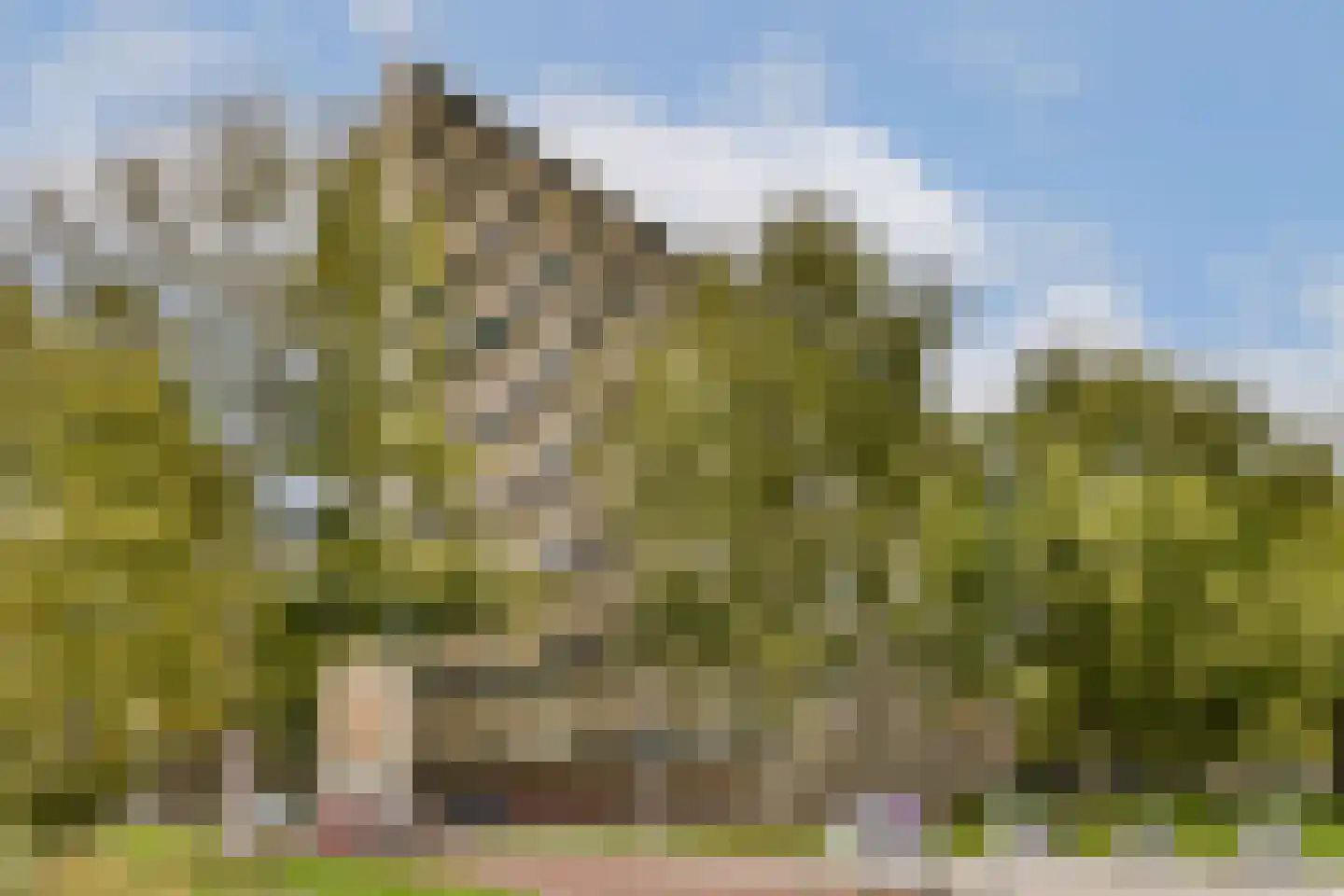 Langswater 494 Amsterdam thumbnail 5