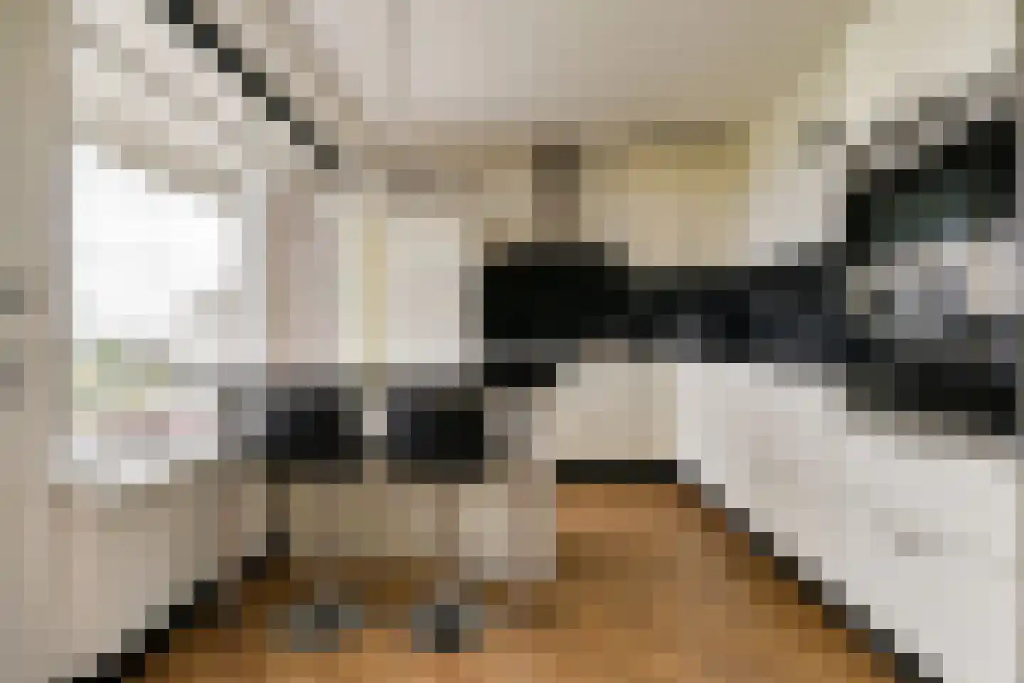 Langswater 494 Amsterdam thumbnail 9