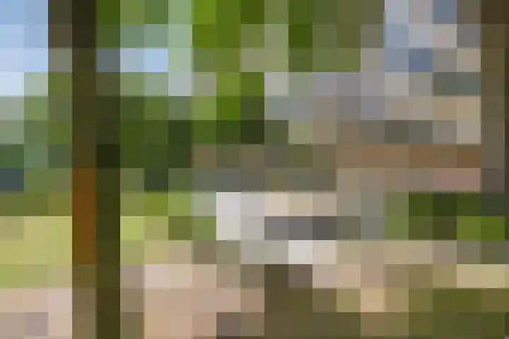 Langswater 602 Amsterdam thumbnail 31