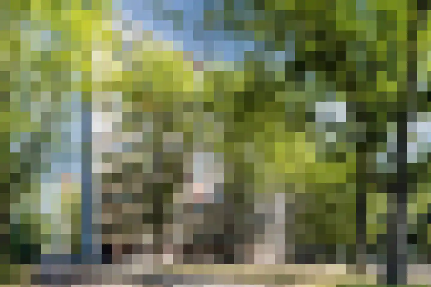 Langswater 633 Amsterdam thumbnail 33