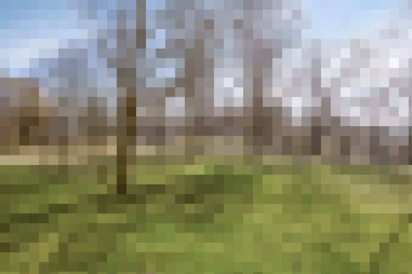 Langswater 7 Amsterdam thumbnail 27