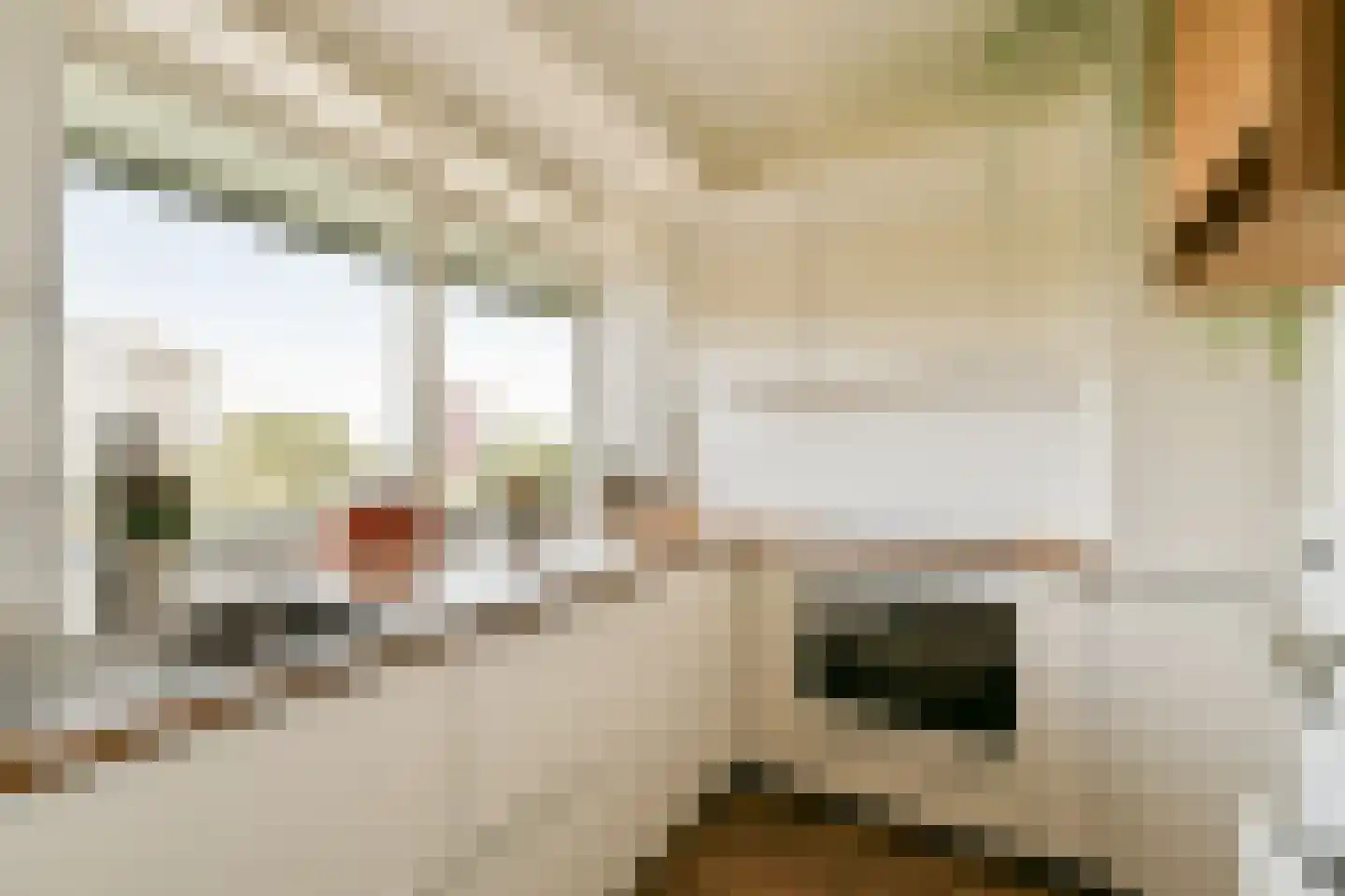 Langswater 745 Amsterdam thumbnail 4