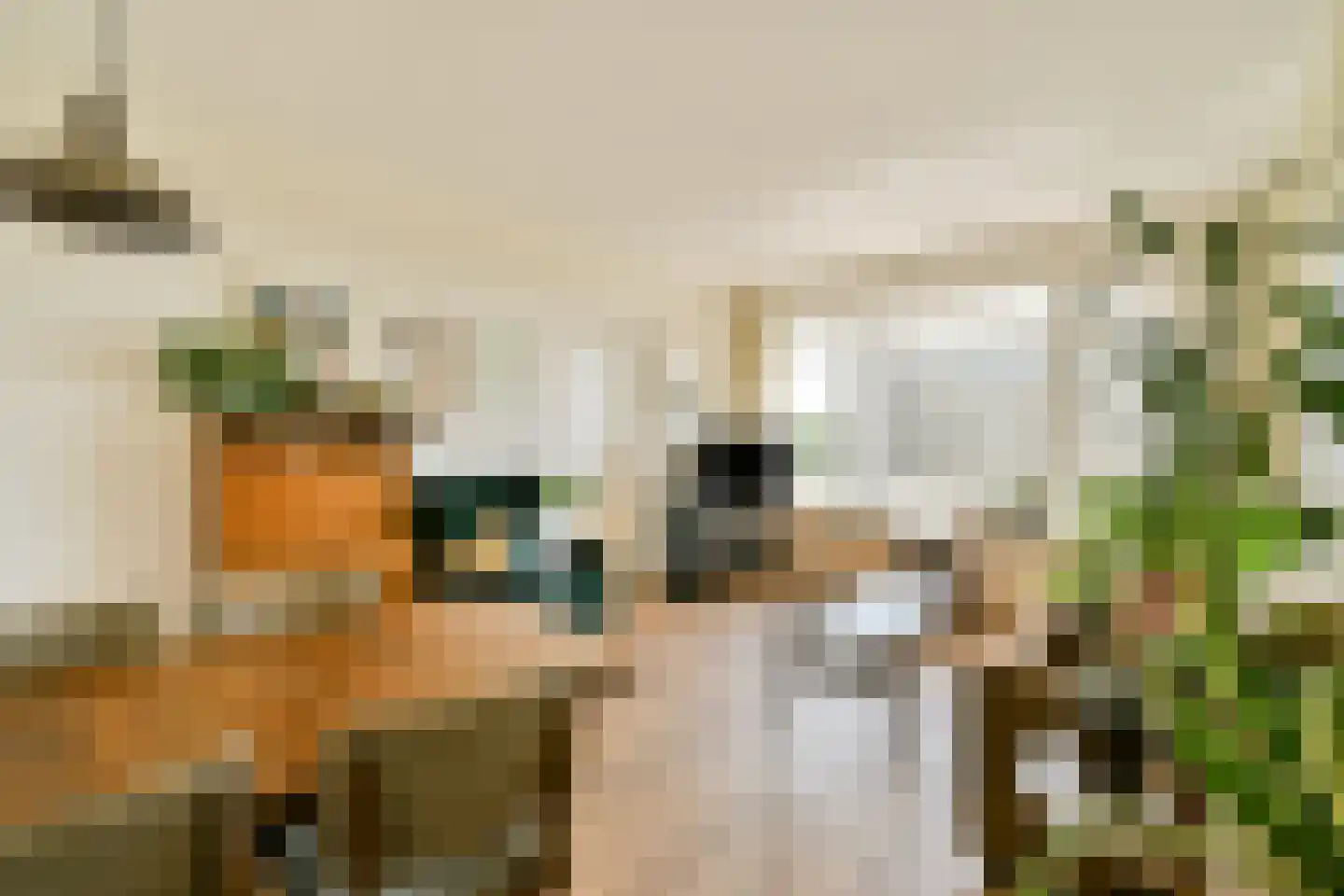 Langswater 745 Amsterdam thumbnail 7
