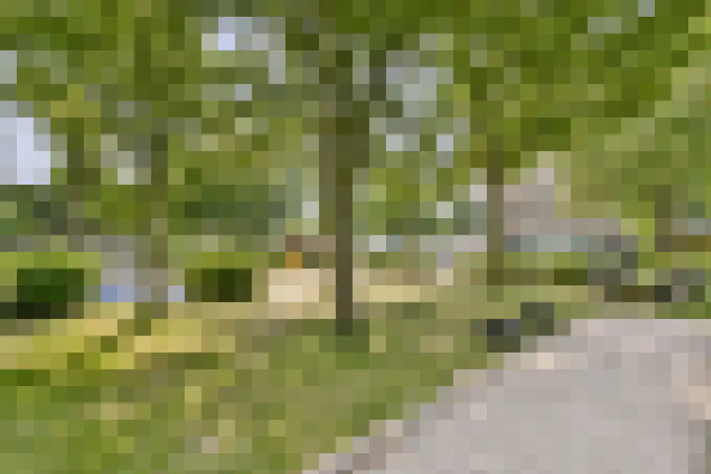 Langswater 749 Amsterdam thumbnail 21