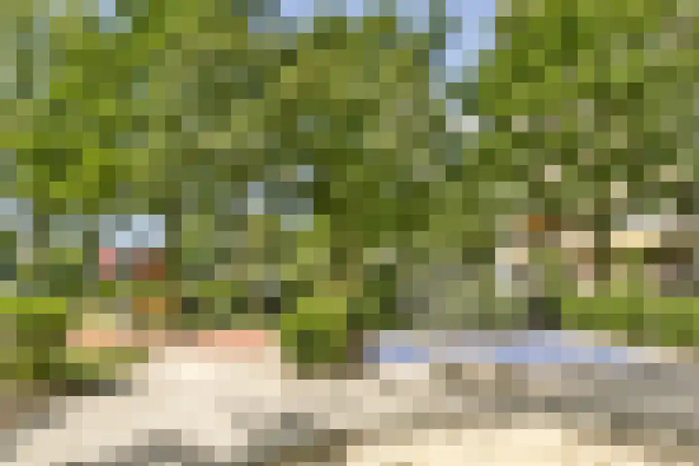 Langswater 752 Amsterdam thumbnail 26