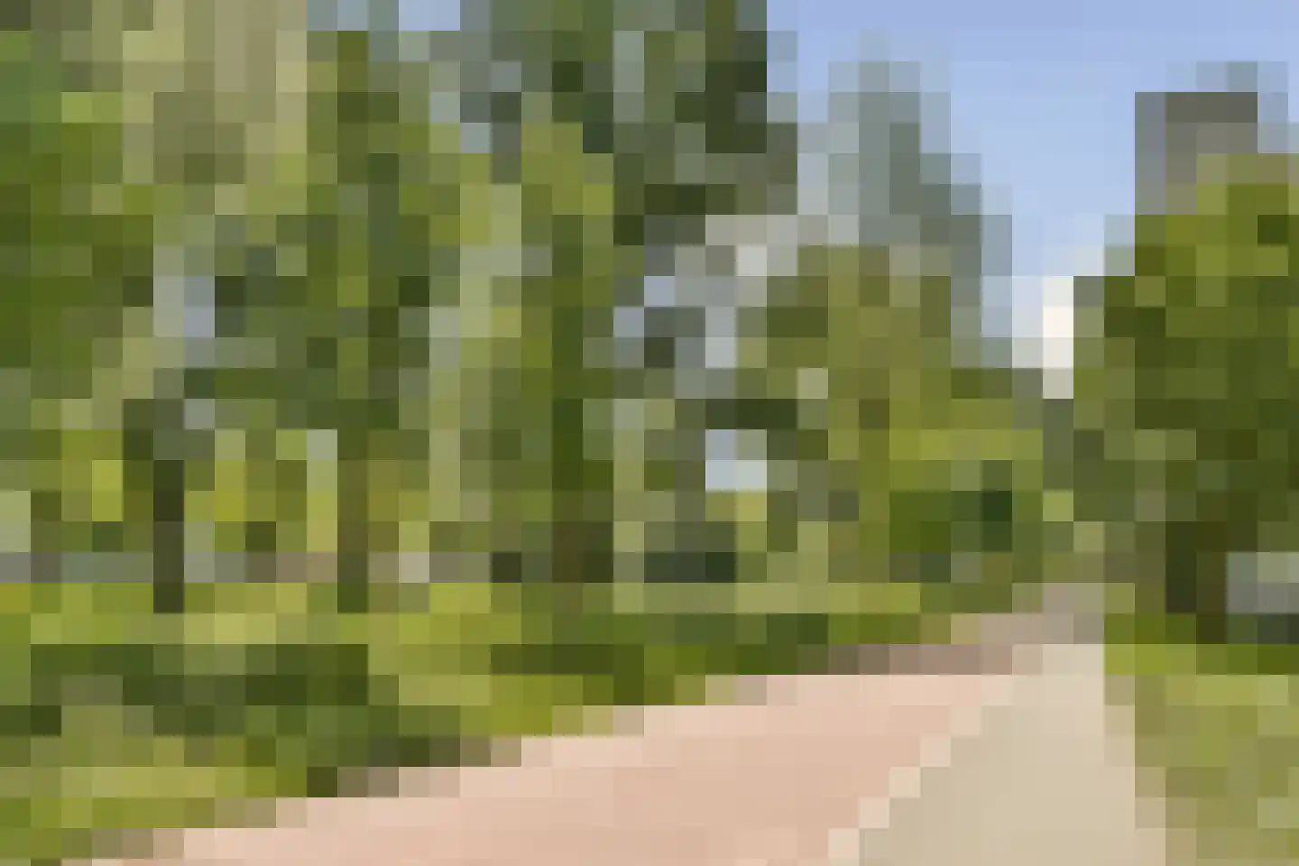 Langswater 752 Amsterdam thumbnail 28