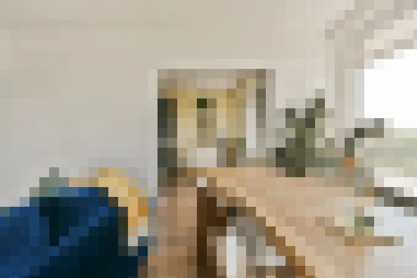 Langswater 752 Amsterdam thumbnail 5