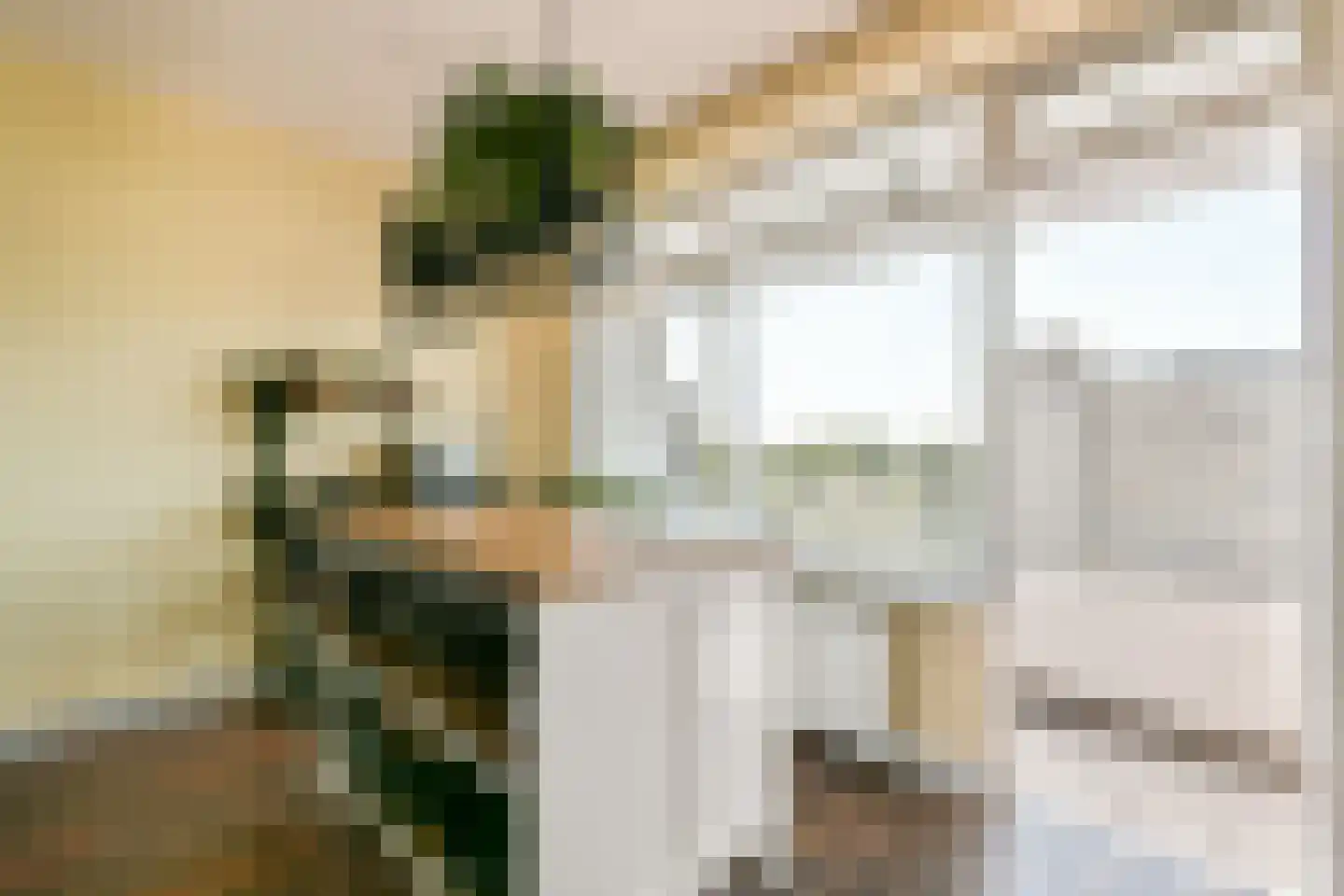 Langswater 752 Amsterdam thumbnail 9