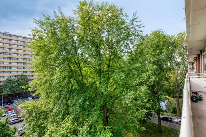 Langswater 849 Amsterdam thumbnail 27