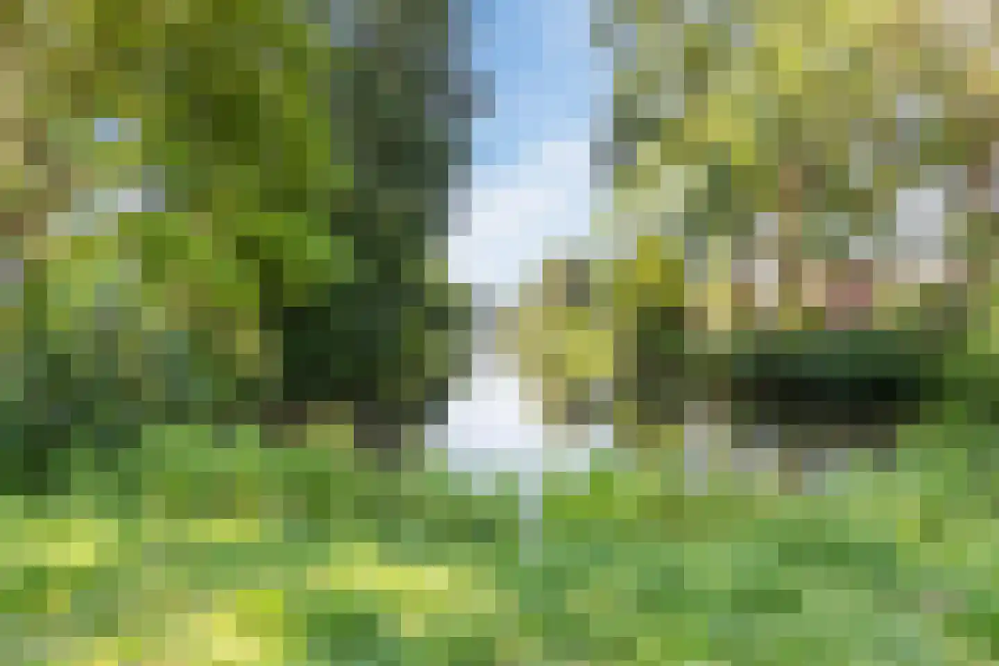 Langswater 853 Amsterdam thumbnail 43