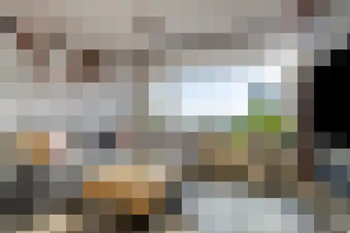 Langswater 873 Amsterdam thumbnail 9