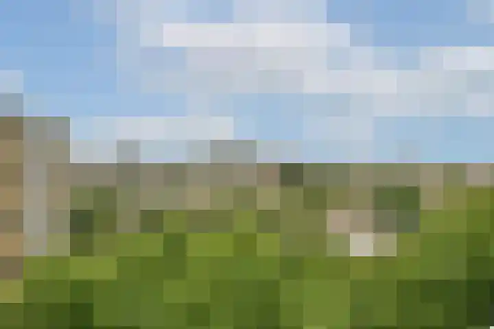 Langswater 895 Amsterdam thumbnail 9