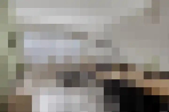 Langswater 910 Amsterdam foto 2