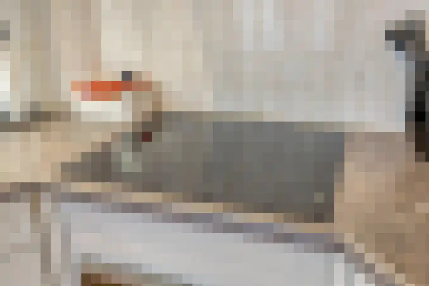Languedoclaan 12 Eindhoven thumbnail 13
