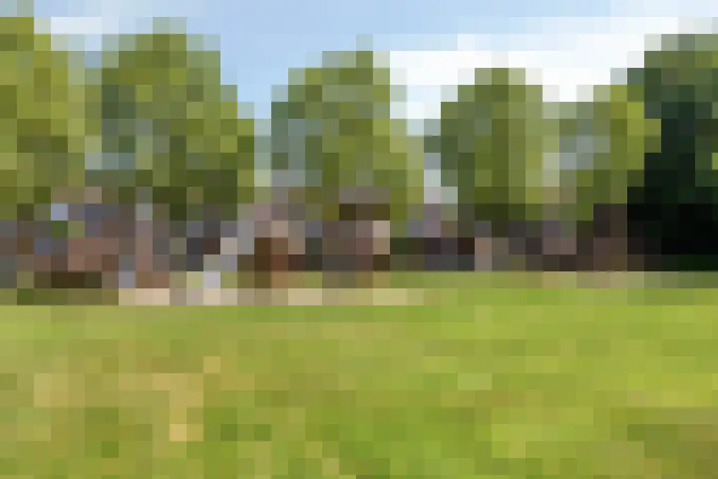 Languedoclaan 12 Eindhoven thumbnail 34