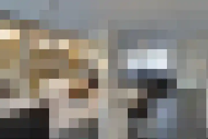 Languedoclaan 20 Eindhoven thumbnail 10