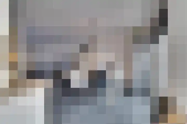 Languedoclaan 20 Eindhoven thumbnail 14