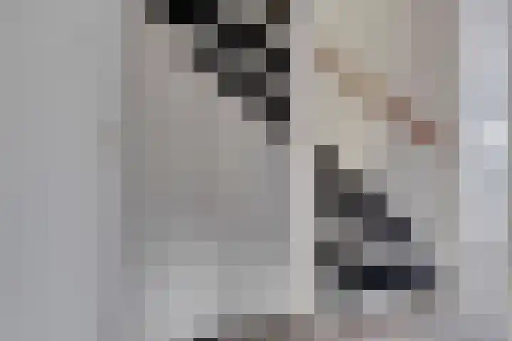 Languedoclaan 20 Eindhoven thumbnail 16