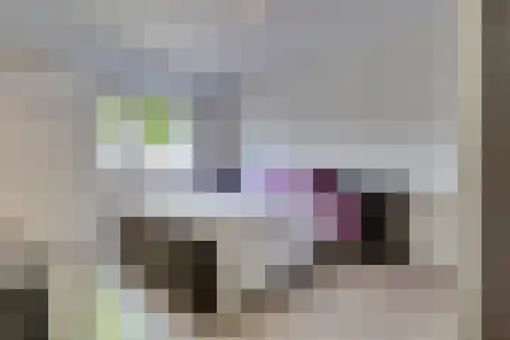 Languedoclaan 20 Eindhoven thumbnail 17