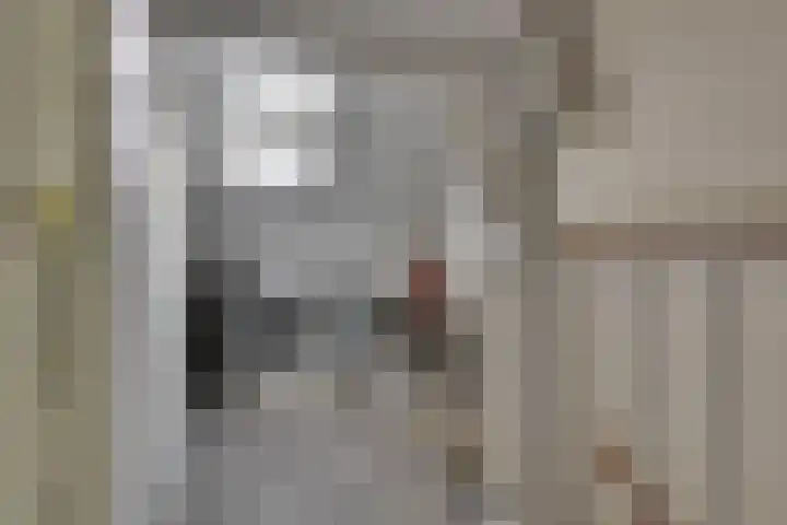 Languedoclaan 20 Eindhoven thumbnail 25