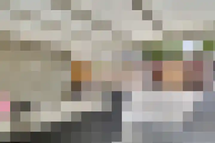 Languedoclaan 20 Eindhoven thumbnail 30