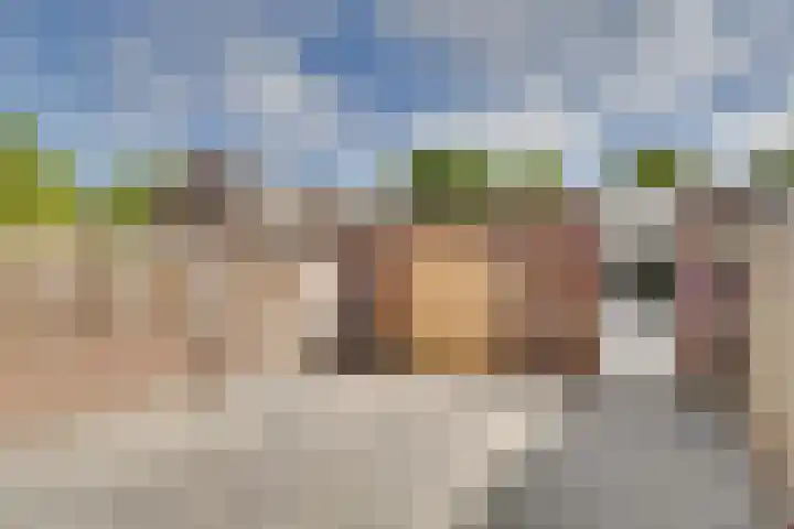 Languedoclaan 20 Eindhoven thumbnail 34