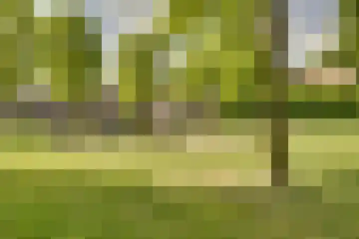 Languedoclaan 20 Eindhoven thumbnail 43