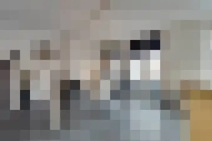 Languedoclaan 20 Eindhoven thumbnail 8