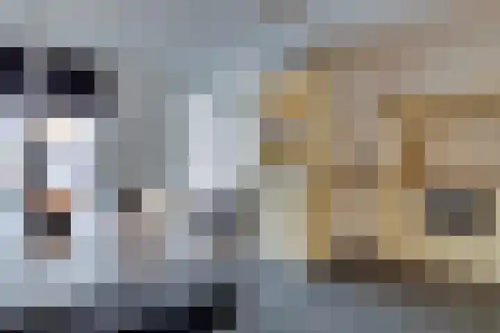 Languedoclaan 20 Eindhoven thumbnail 9