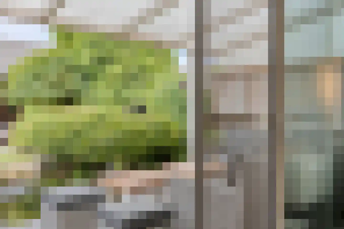 Languedoclaan 39 Eindhoven thumbnail 10