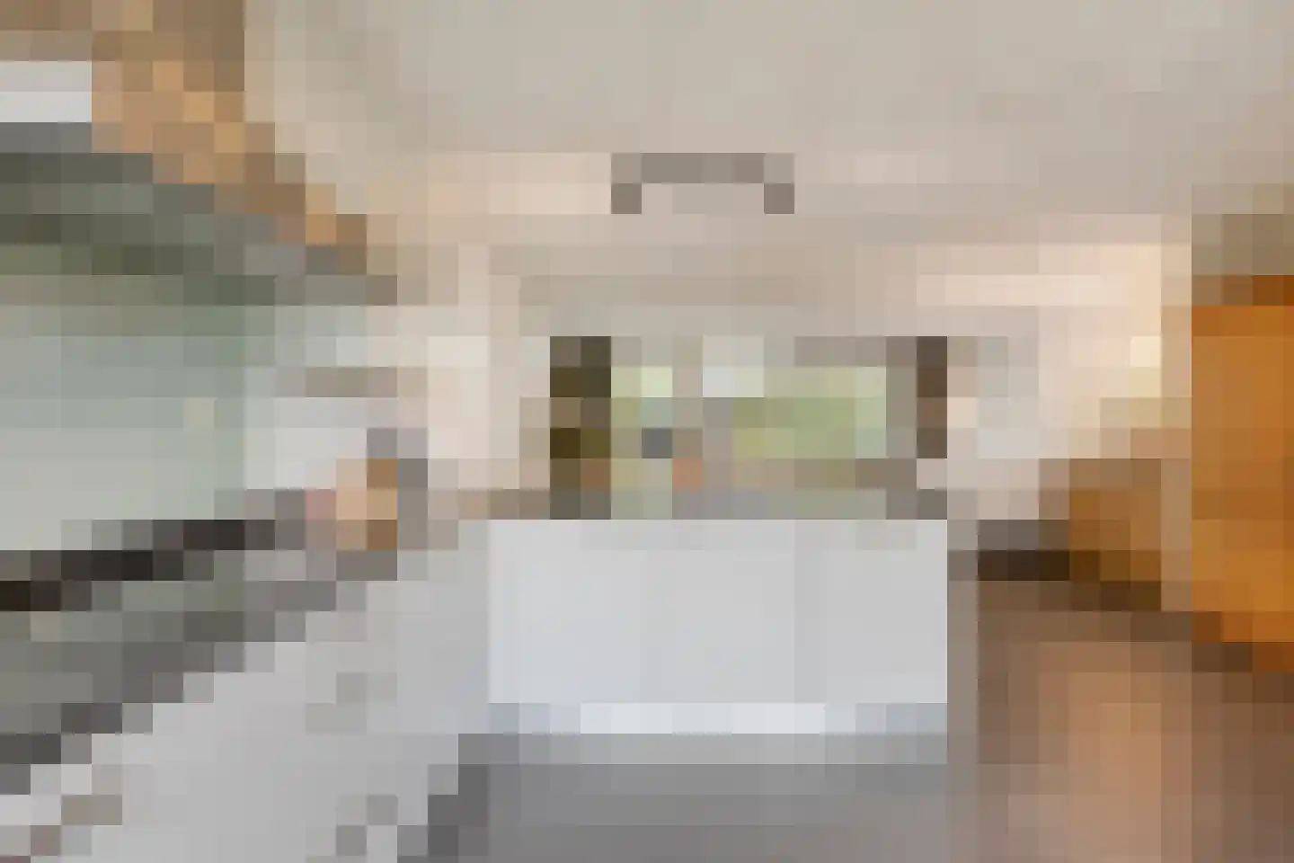 Languedoclaan 39 Eindhoven thumbnail 18