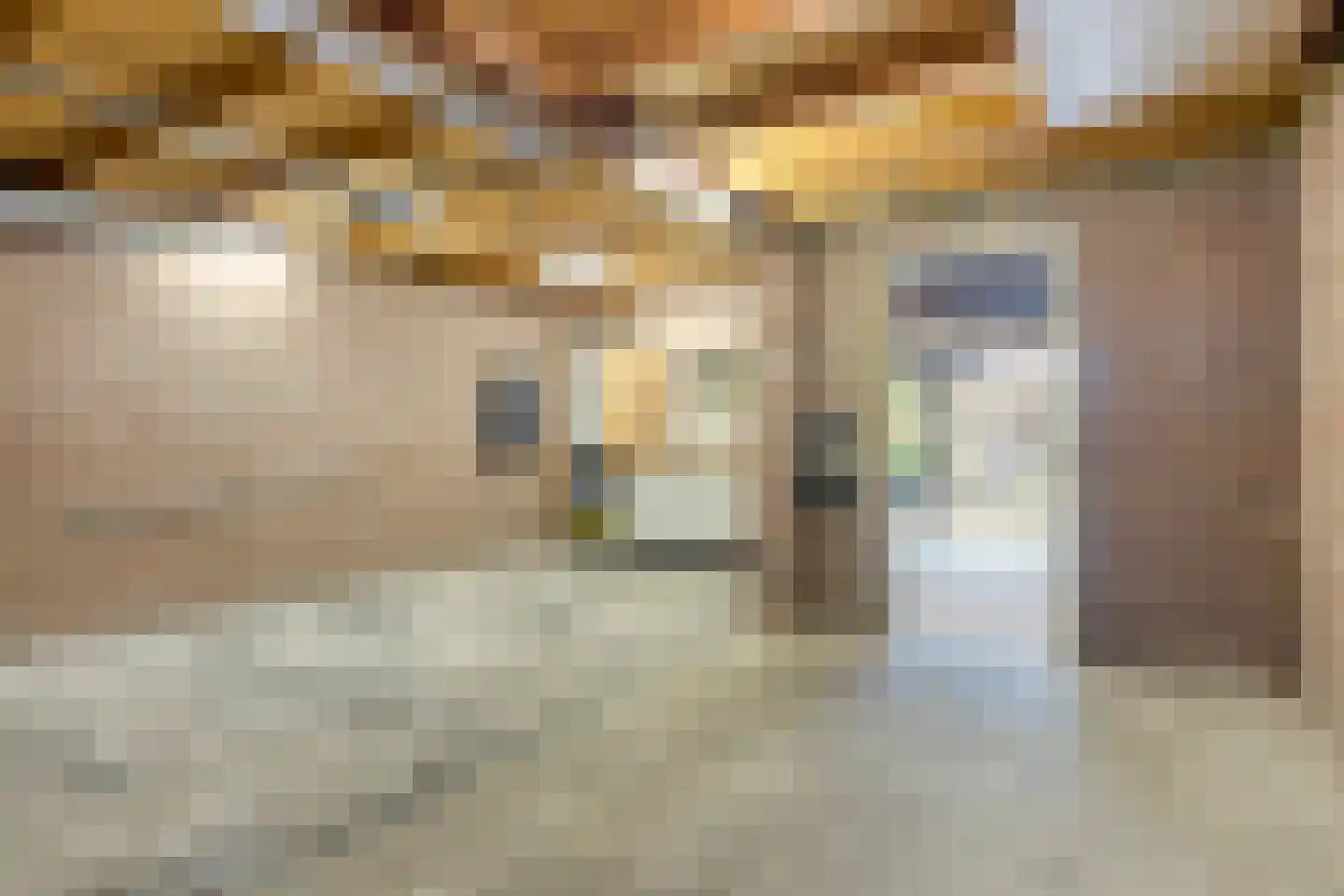 Languedoclaan 39 Eindhoven thumbnail 41