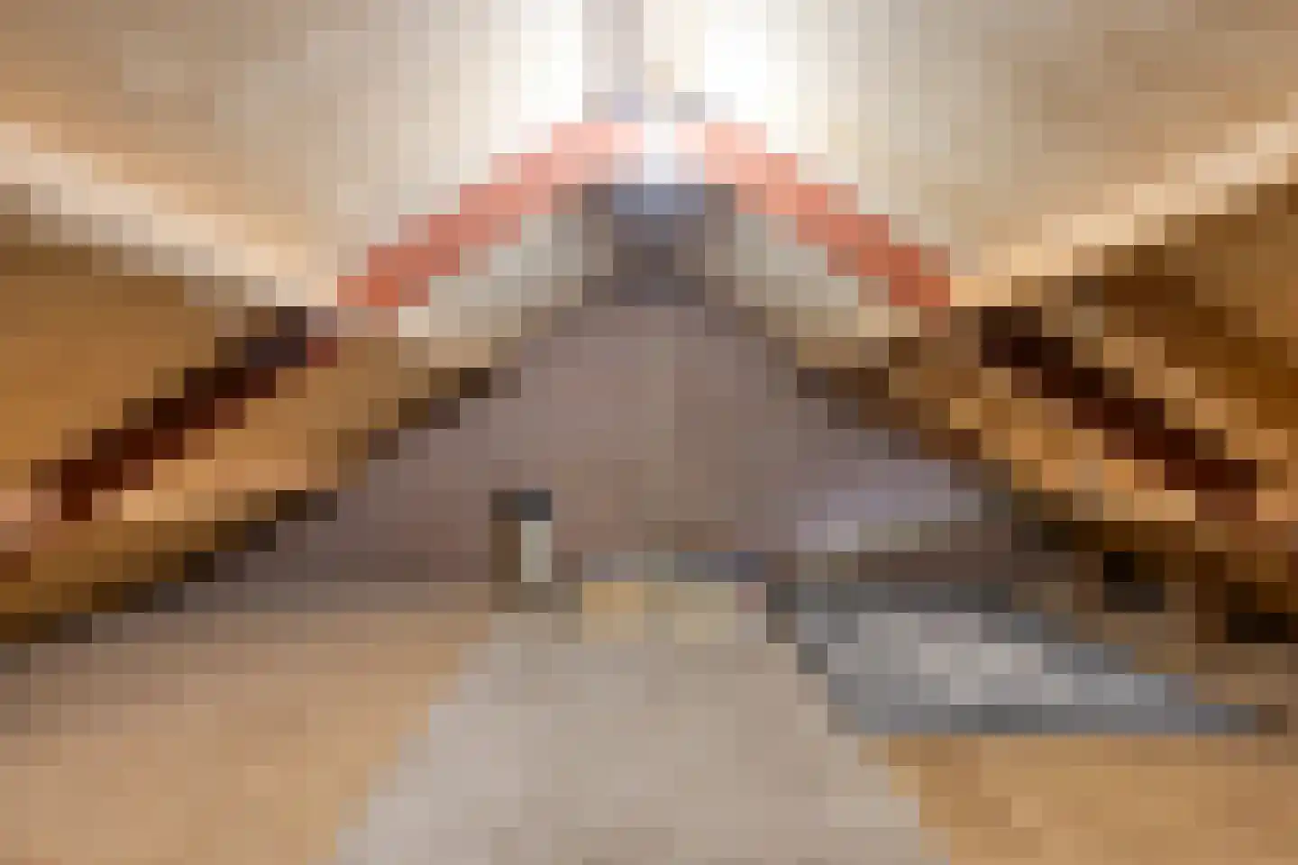 Languedoclaan 39 Eindhoven thumbnail 43