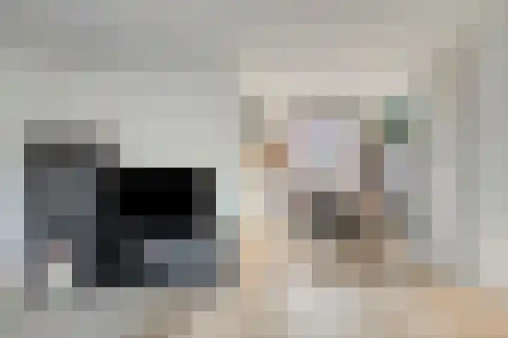Languedoclaan 51 Eindhoven thumbnail 15