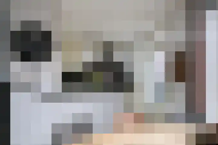 Languedoclaan 51 Eindhoven thumbnail 20