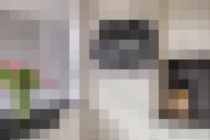 Languedoclaan 51 Eindhoven thumbnail 22
