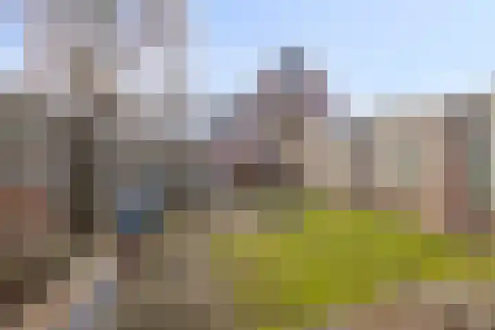 Languedoclaan 51 Eindhoven thumbnail 39