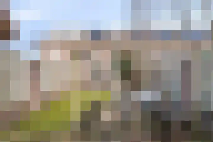 Languedoclaan 51 Eindhoven thumbnail 44